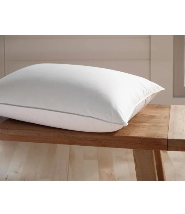 Organic Cotton Down Pillow Tan Standard Size, L.L.Bean