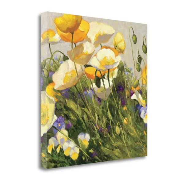 Fine Art Giclee Print on Gallery Wrap Canvas Poppies and Pansies I by Shirley Novak Green 20x22 x 20x22 - Cotton