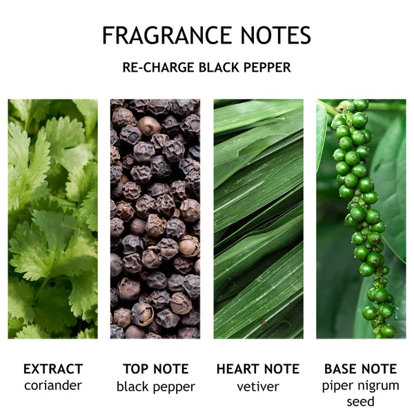 Molton Brown Black Peppercorn Three-Wick Candle