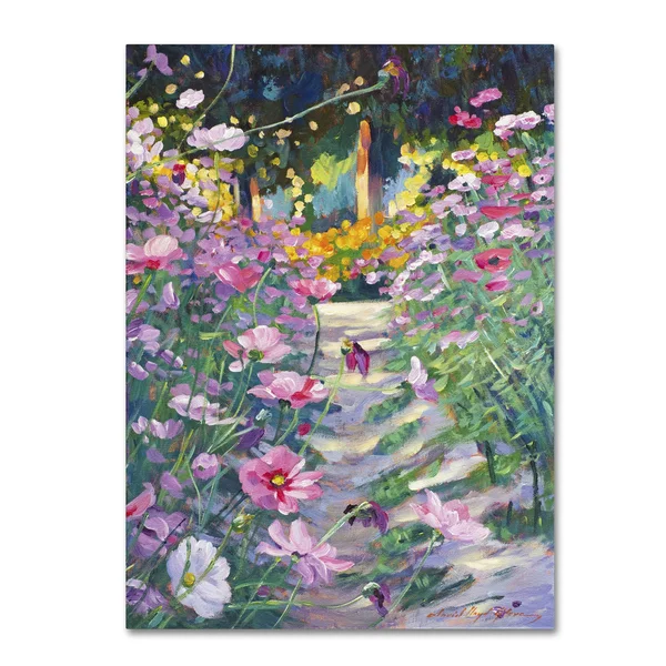 Trademark Fine Art Garden Path of Cosmos Canvas Art by David Lloyd Glover - Size: 18 x 24