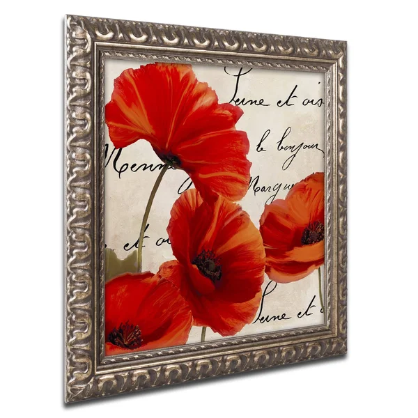 Color Bakery 'Coquelicots Rouge I' Ornate Framed Art - Gold