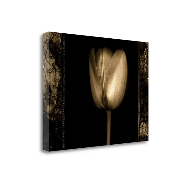 Tangletown Fine Art White Tulipa II by Rick Filler
