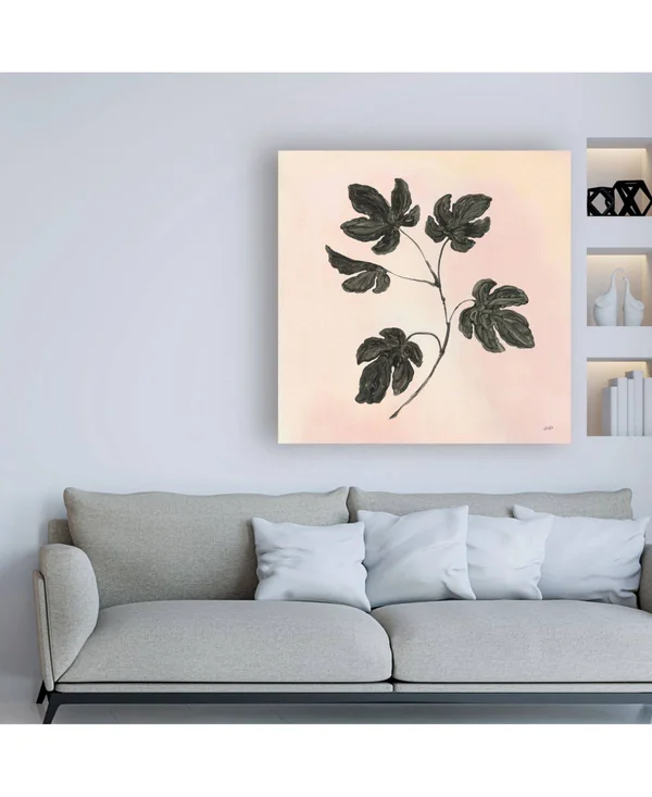 Trademark Art Julia Purinton 'Botanical Study III Blush' Canvas Art