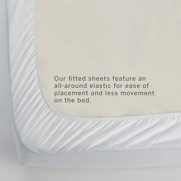 The Company Store Legends Sand Solid 600-Thread Count Egyptian Cotton Sateen Queen Fitted Sheet - Brown