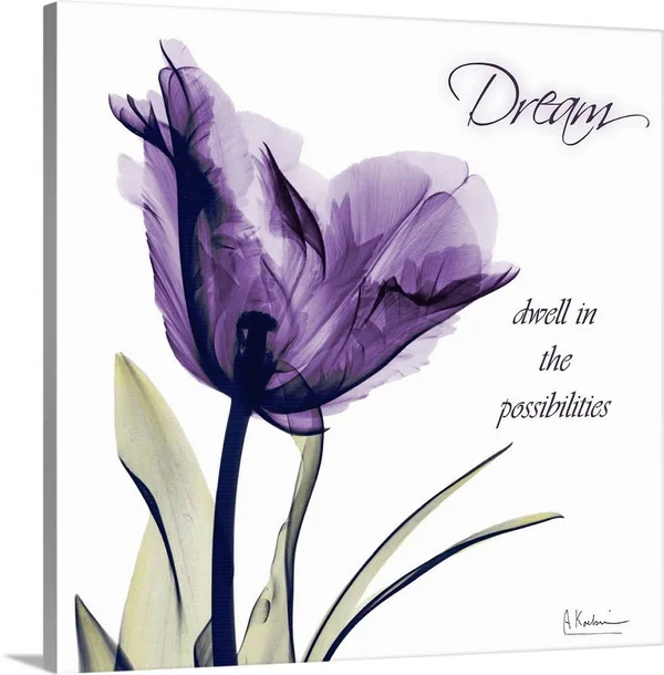 Tulip Dream X-Ray Photography, Canvas Wall Art, 16x16, Great Big Canvas