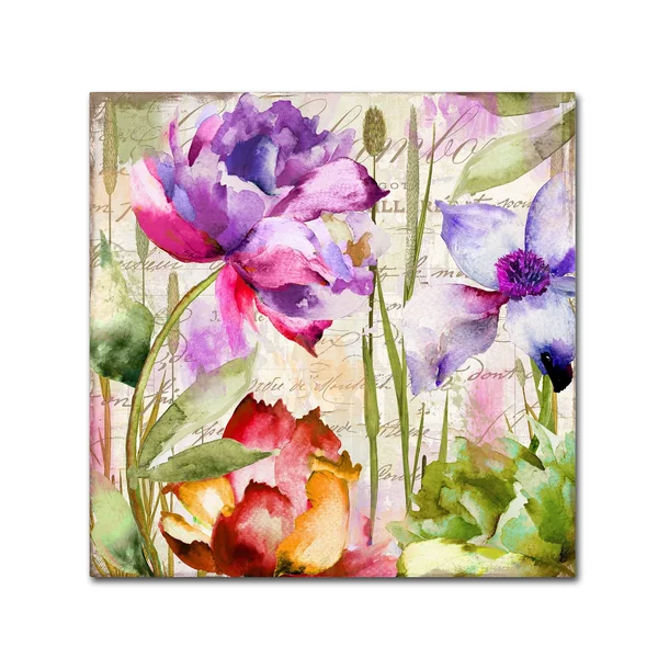 Trademark Fine Art Ali4721-C3535Gg Color Bakery 'Afterglow I' Canvas A