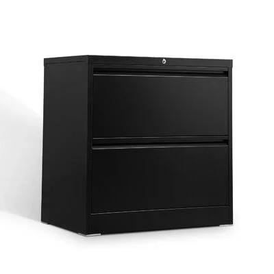 2Drawer Folding Lateral File Cabinet Carton Inbox Zero Color: Black