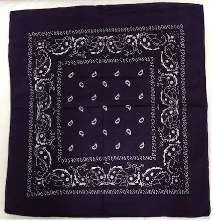 Flags by The Dozen Assorted Bandana Paisley Head Wrap in Various Colors 100% Cotton 22x22x22x22 144 Plum Violet