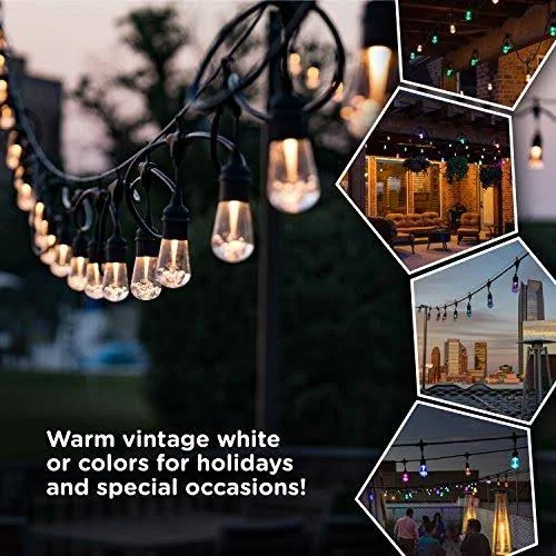Enbrighten Seasons LED Warm White & Color Changing Café String Lights with Oil-Rubbed Bronze Lens Shade - Black, 48ft, 24 Imp