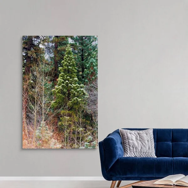 Mixed Forest in Winter, Yosemite Valley, Yosemite National Park, California, Canvas Wall Art, 40x60, Great Big Canvas
