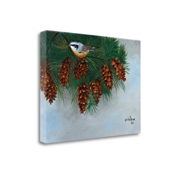 Tangletown Fine Art Pine Cones Nuthatcher by Julie Peterson - Giclee Print on Wrap Canvas, 29x21x22