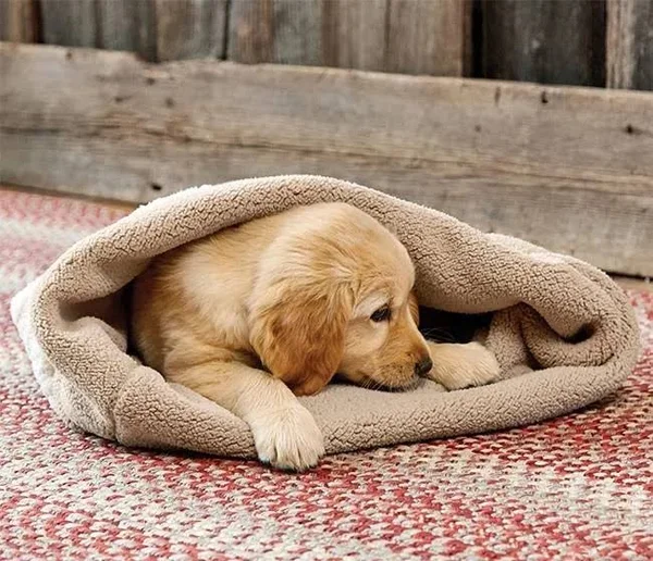 Burrower Dog Blanket - Size Medium, Orvis
