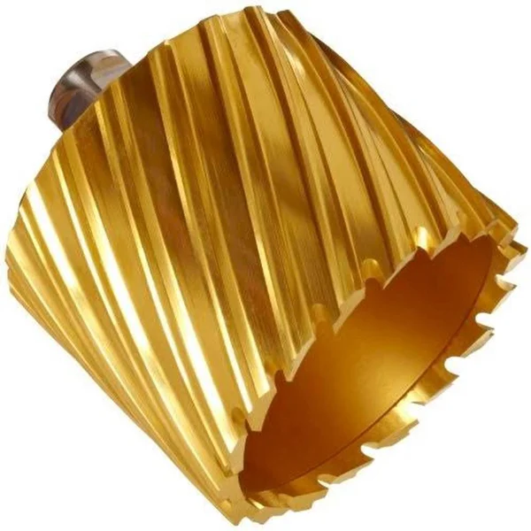 Fein, 63134206120, HSS Annular Cutter, Tin Coated, 13/16x22x2x22