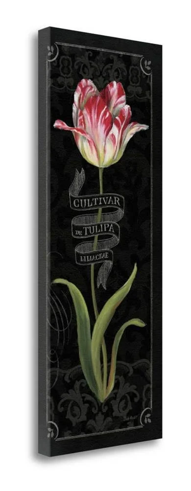 40x22 x 16x22 Tulipa Botanica III by Lisa Audit Fine Art Giclee Print