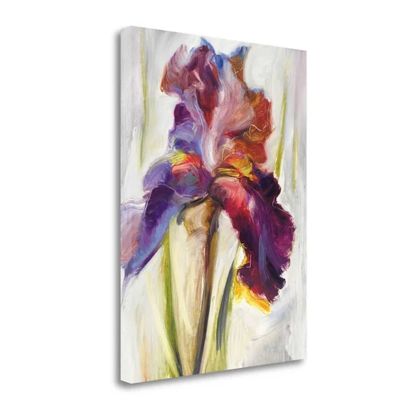 Colors of Iris I by Maria Zielinska Fine Art Giclee Print on Galler