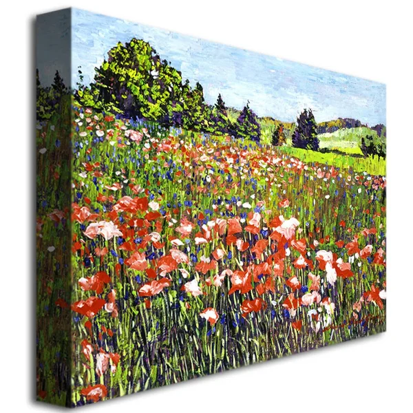 Trademark Art Poppy Fields of France Canvas Wall Art by David Lloyd Glover - Size: 24 x 32