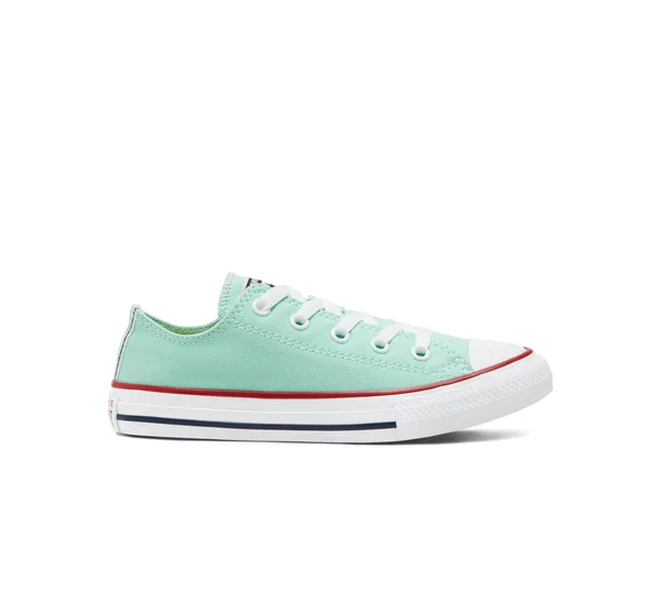 Converse Chuck Taylor All Star Low