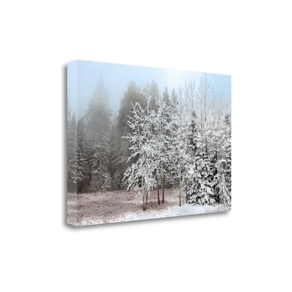 Tangletown Fine Art Frosty Morning by Mike Jones, Giclee Print on Gallery Wrap Canvas, 39x22x26x22