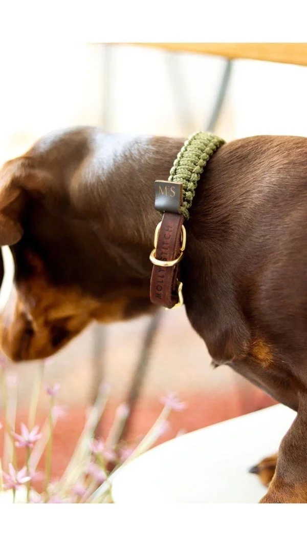 Touch of Leather Dog Collar - Military S, Steel