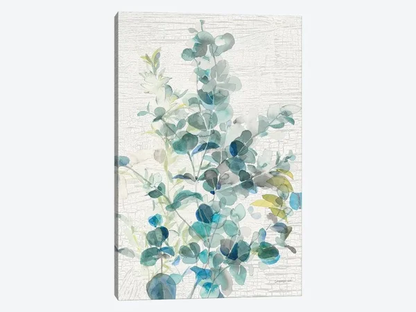 Danhui Nai Canvas Wall Decor Prints - Eucalyptus IV Vintage ( Floral & Botanical > Plants > Eucalyptus art)
