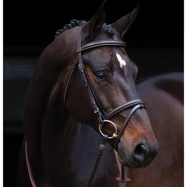 Amigo Bridle with Flash & Rubber Reins - Standard Horse, Black