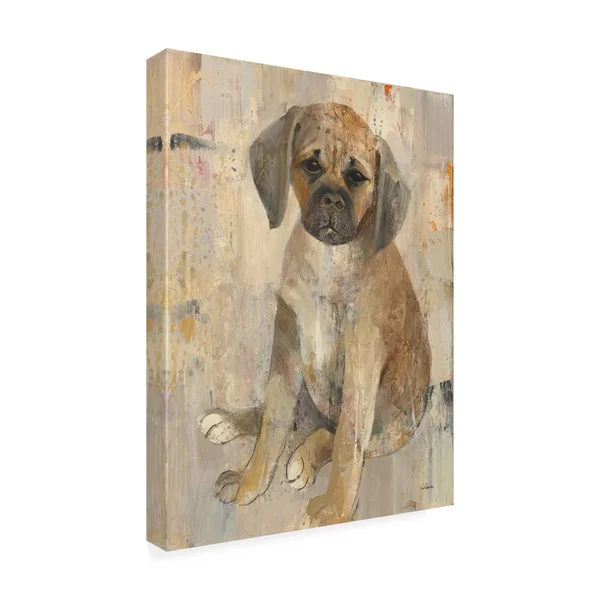 Trademark Fine Art 'Paco' Canvas Art by Albena Hristova - Size: 18 x 24