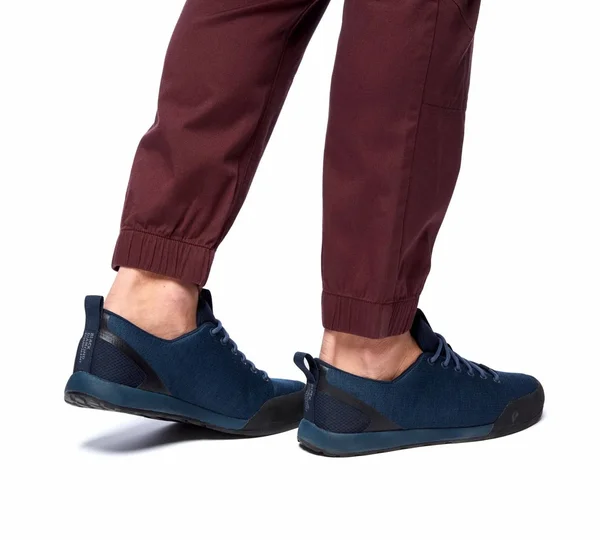 Black Diamond Notion Pants - Men's Port Large AP7500606031LRG1