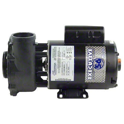 Waterway 3721621-13 4HP 230V 2-Speed 56 Frame Executive Pump