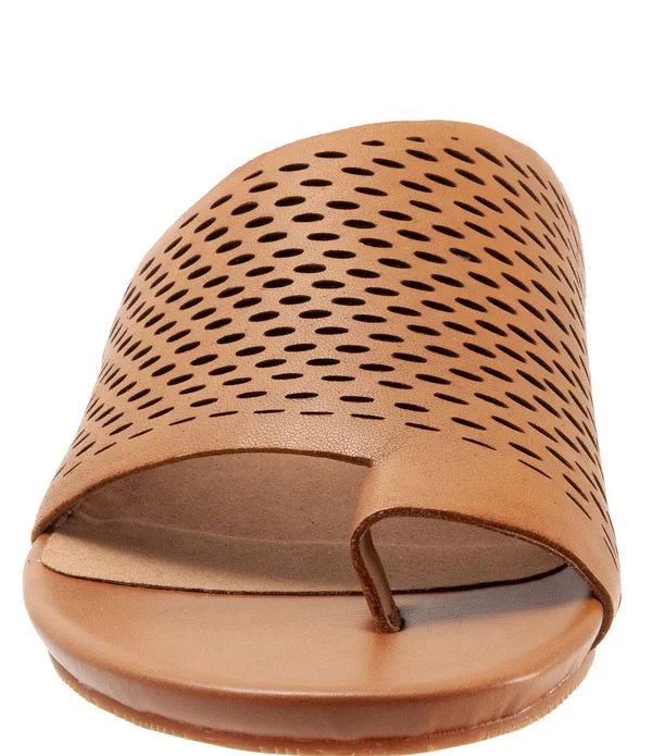SoftWalk Women's Corsica II Sandal Black 6.5