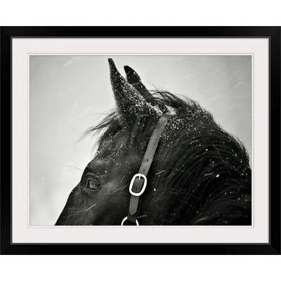 &Snow Daze IV Crop& by Lisa Cueman Photographic Print Millwood Pines Format: Black Frame, Size: 20x22 H x 24x22 W x 1x22 D
