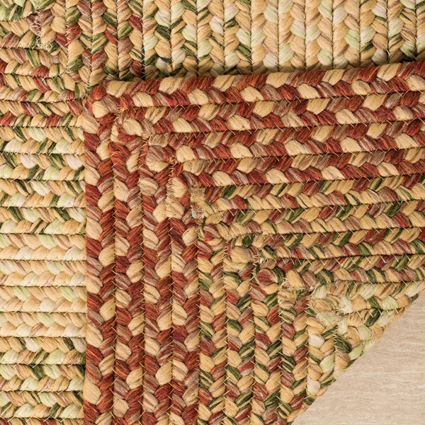 Safavieh Handmade Braided Jemima Country Rug - 10& x 14& - Rust/Multi
